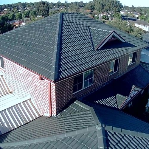 Roof Painting